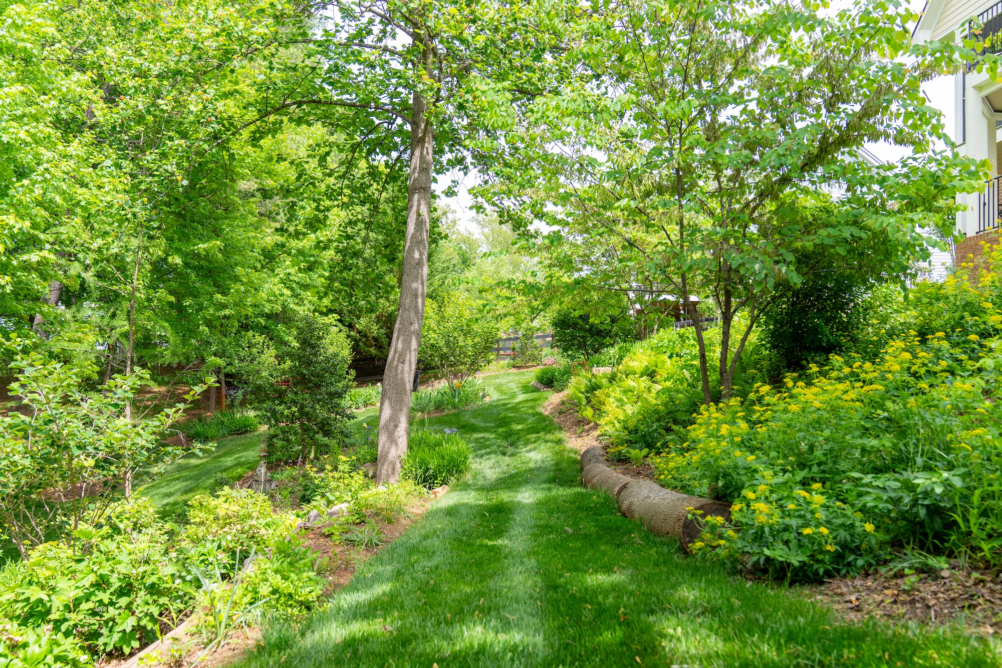 landscaping company